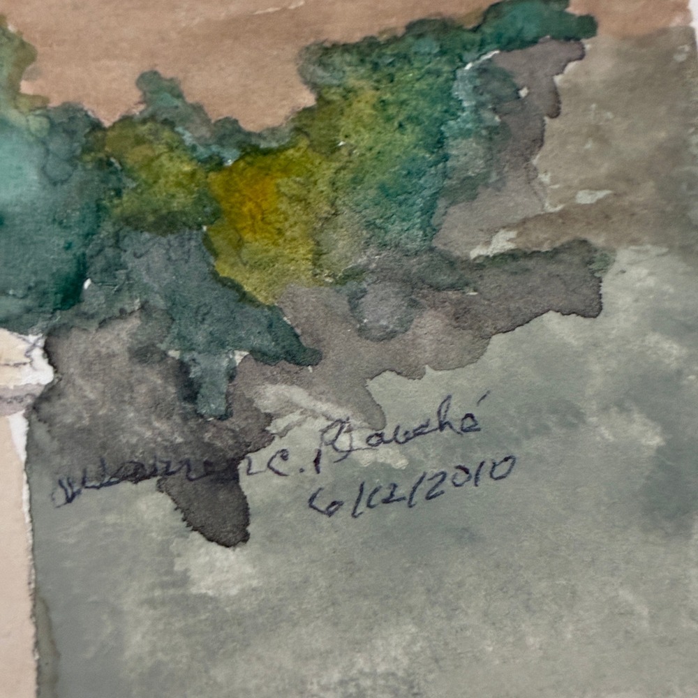 Warren C Plauche Watercolor Painting Hurricane in the Bahamas Coconuts - Picture 7 of 8